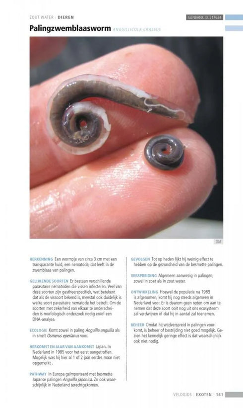 Veldgids Exoten -  Leewis,R. ym 2013